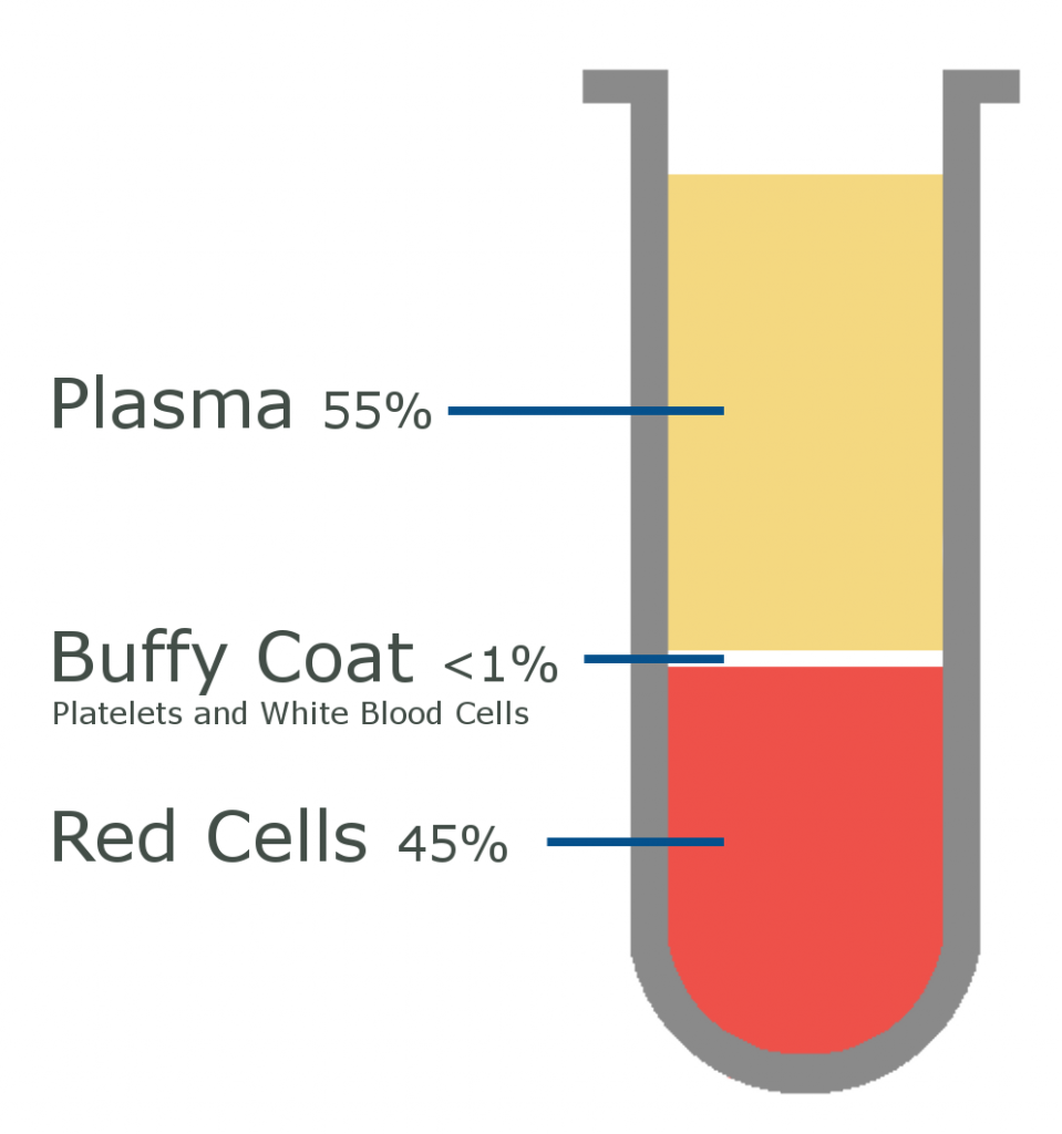 About Blood Northern Ireland Blood Transfusion Service